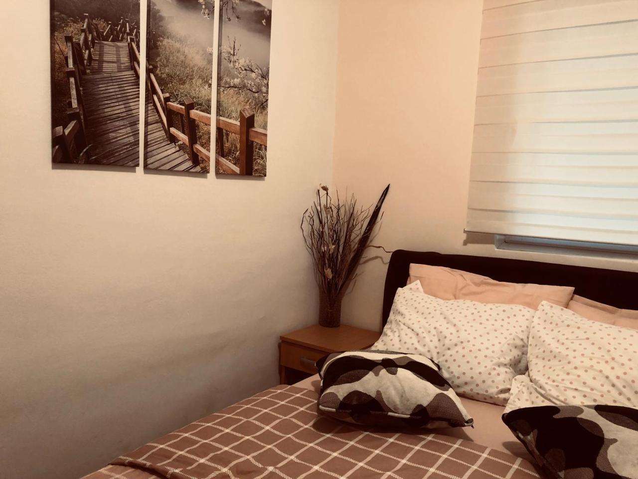 Apartments Aleksandar Petrovac 外观 照片